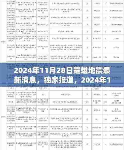 独家报道，楚雄地震最新动态，最新消息（日期更新至2024年11月28日）
