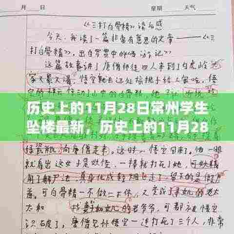 历史上的11月28日常州学生坠楼事件深度解析与最新情况关注