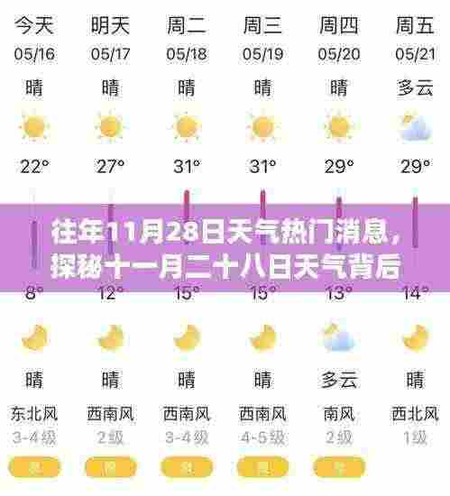 往年11月28日天气探秘，特色小店背后的故事与小巷深处的魅力天气