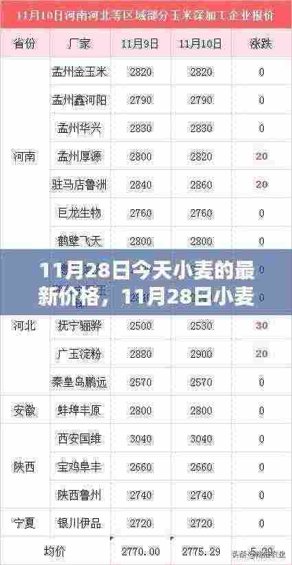 11月28日小麦最新价格走势分析与观点探讨
