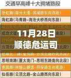 11月28日顺德危运司机招聘启事，驾驭变化，驶向成功自信之旅！