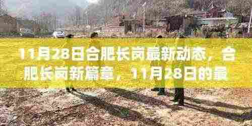 合肥长岗新篇章，11月28日最新动态及其深远影响