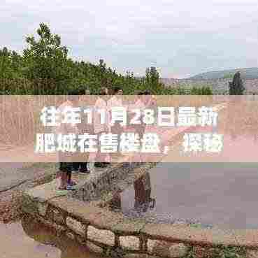 揭秘肥城隐秘小巷与最新楼盘的独特小店，十一月二十八日最新肥城在售楼盘探秘