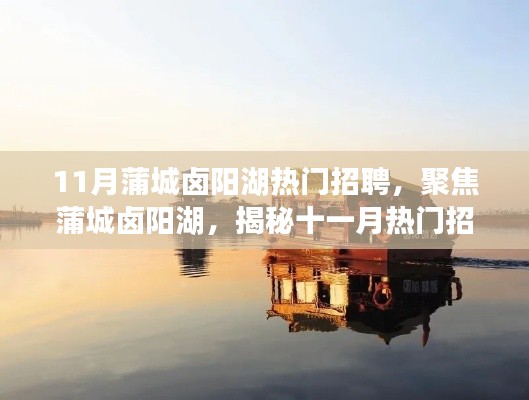 揭秘蒲城卤阳湖十一月热门招聘背后的秘密，聚焦最新招聘信息与趋势分析