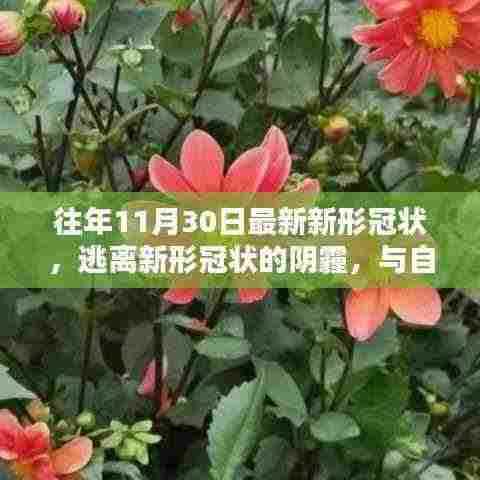 逃离新冠疫情阴霾，与自然美景的不期而遇之道