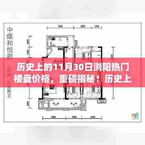 揭秘！历史上的11月30日浏阳热门楼盘价格走势与今日揭秘重磅曝光！
