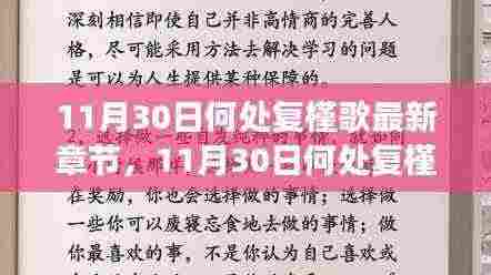 11月30日何处复槿歌最新章节，多元观点与个人立场的深度探讨