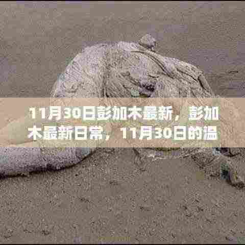 举世无双 第7页