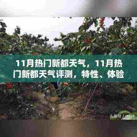 夯雀儿先飞 第6页