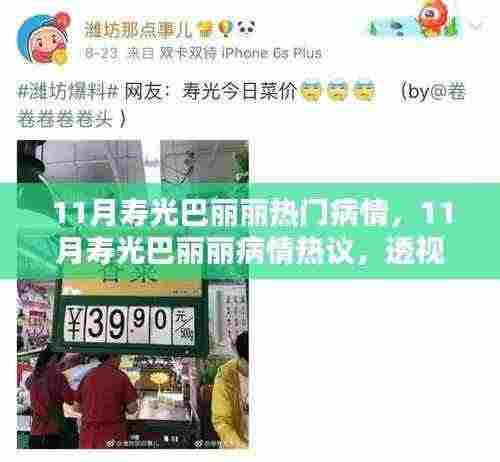 百鸟归巢 第5页