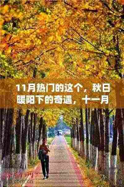 秋日暖阳下的奇遇，十一月温馨日常