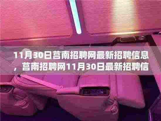 莒南招聘网11月30日最新招聘信息解读与探讨大会