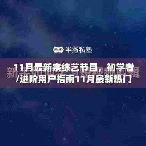 初学者到进阶！11月最新热门综艺节目观看全攻略