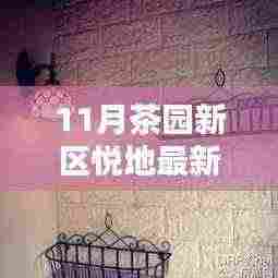 茶园新区悦地十一月动态速递，最新新闻与动态一览