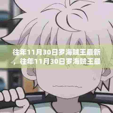 往年11月30日罗海贼王最新评测，特性、体验、竞品对比及用户群体深度解析