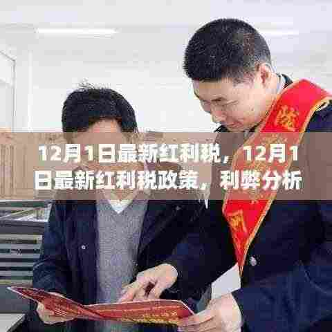 12月1日最新红利税政策解析，利弊分析与个人立场观点