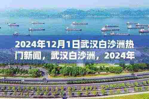 武汉白沙洲热门新闻回顾，聚焦2024年12月1日