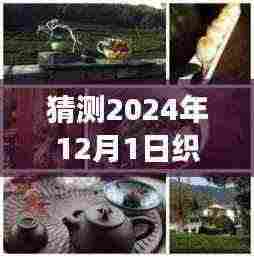 织田最新美食探秘，小巷深处的隐藏美食，未知魅力揭晓——2024年12月1日的美食猜想