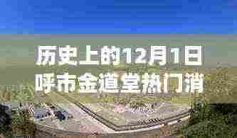 历史上的12月1日呼市金道堂热门消息深度解析，从某某观点看背后的故事