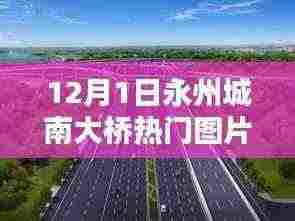 永州城南大桥下的暖心日常，热门图片的奇遇记