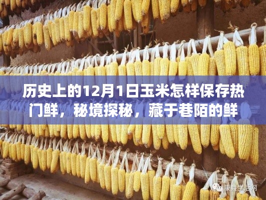 12月1日玉米保存之旅，鲜味延续的秘境探秘与巷陌时光