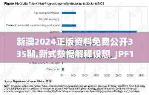新澳2024正版资料免费公开335期,新式数据解释设想_JPF17.465加速版