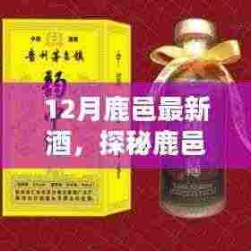 探秘鹿邑酒韵馆，十二月最新佳酿品鉴之旅