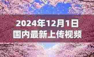 探秘草樱小店，美食之旅开启，小巷深处的独特风味视频草樱分享（独家报道）