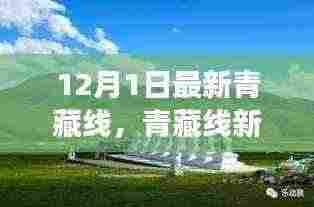 青藏线新旅程，雪域高原的暖心日常