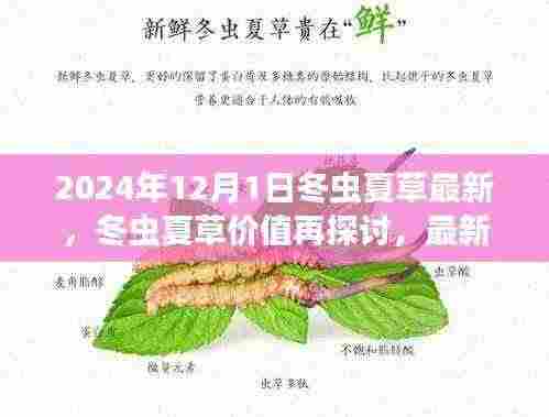 2024年视角下的冬虫夏草价值深度探讨，最新观点与分析