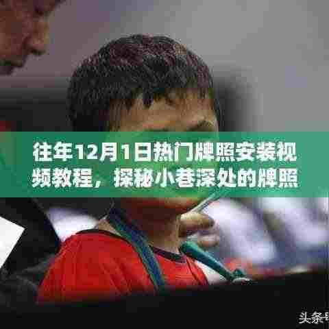 探秘热门牌照安装视频教程，小巷深处的宝典，轻松掌握安装技巧