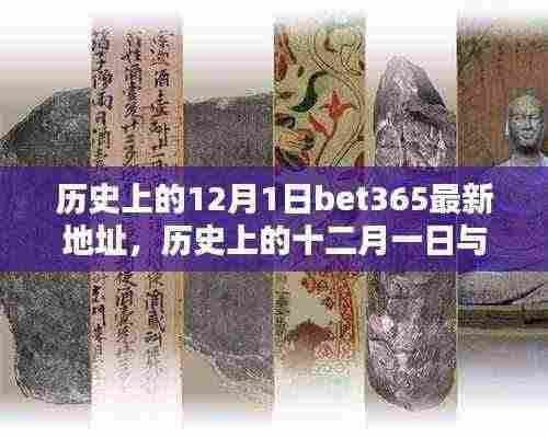 关于bet365最新动态与十二月一日的历史科普文章，犯罪行为的警示与解析。