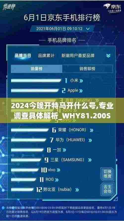 2024今晚开特马开什么号,专业调查具体解析_WHY81.200SE版