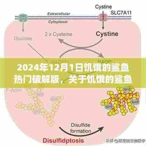 关于饥饿的鲨鱼游戏破解版的警示与提醒（2024年12月1日版）