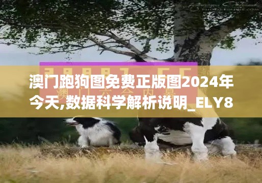 澳门跑狗图免费正版图2024年今天,数据科学解析说明_ELY82.617云端版