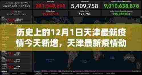 天津疫情动态解析，历史上的12月1日与今日疫情新增全面解析指南
