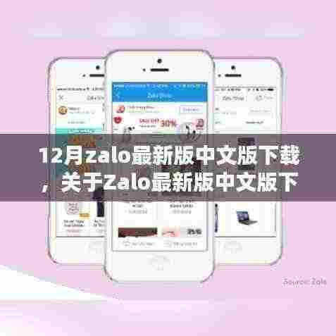 揭秘Zalo最新版中文版下载，指南与犯罪风险警示