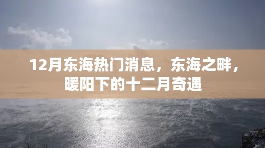 东海之畔暖阳下的十二月奇遇，最新热门消息全解析