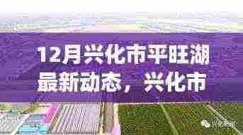 兴化市平旺湖最新动态，聚焦发展影响与各方观点热议