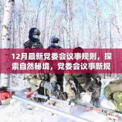 党委会议事新规则，探索自然秘境的心灵之旅