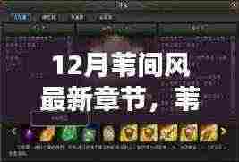 苇间风深度解析与影响回顾，最新章节之舞与影响回顾