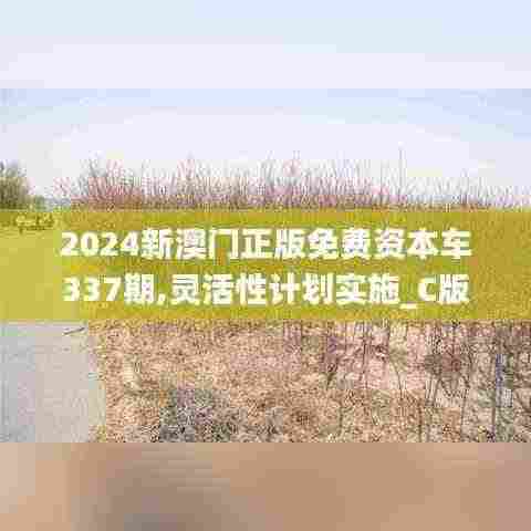 2024新澳门正版免费资本车337期,灵活性计划实施_C版172.509-5