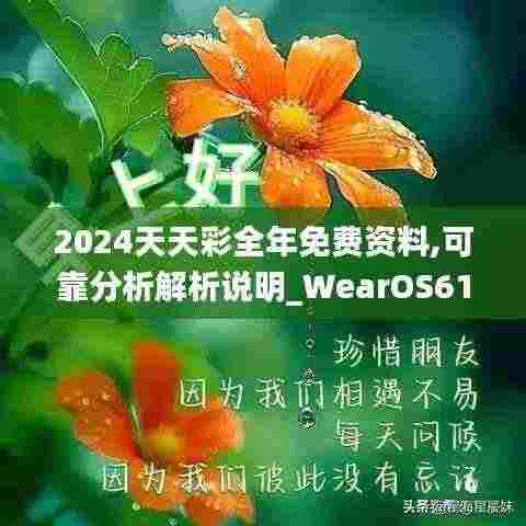 2024天天彩全年免费资料,可靠分析解析说明_WearOS61.920