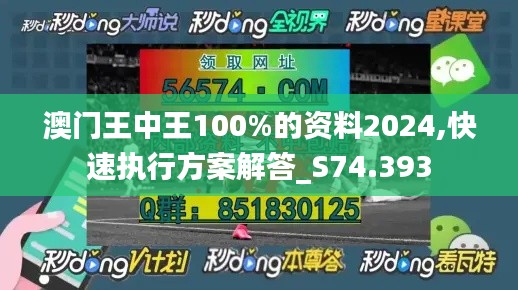 澳门王中王100%的资料2024,快速执行方案解答_S74.393
