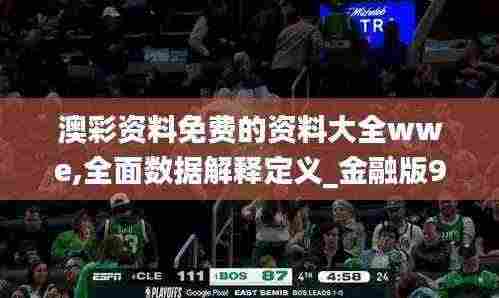 澳彩资料免费的资料大全wwe,全面数据解释定义_金融版96.569