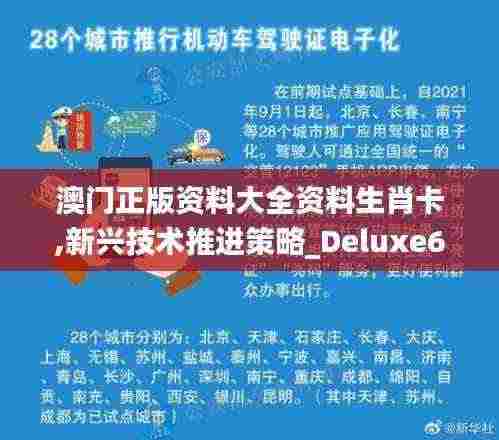 澳门正版资料大全资料生肖卡,新兴技术推进策略_Deluxe65.322