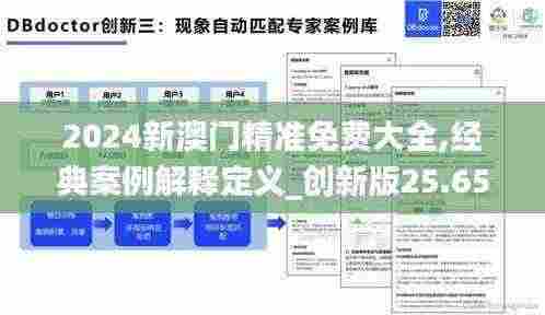 2024新澳门精准免费大全,经典案例解释定义_创新版25.653