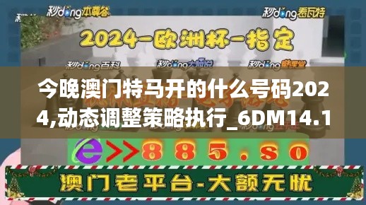 今晚澳门特马开的什么号码2024,动态调整策略执行_6DM14.192