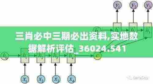 三肖必中三期必出资料,实地数据解析评估_36024.541