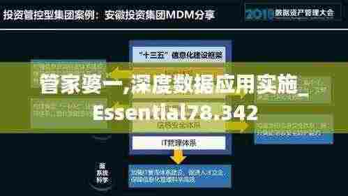 管家婆一,深度数据应用实施_Essential78.342